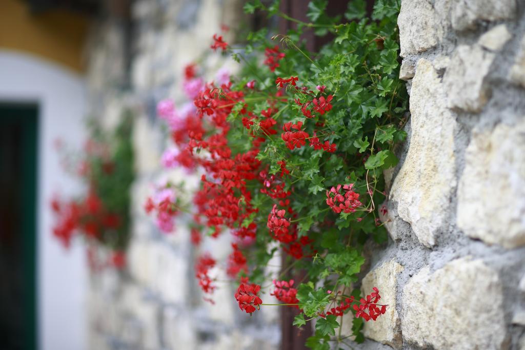 Guesthouse Villa Zelenjak Ventek Kumrovec 외부 사진